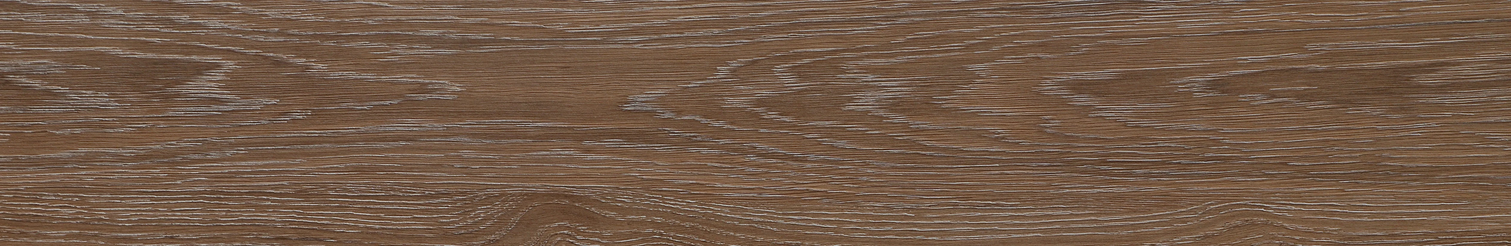 North American Ash · Matt Mould W1202309 · W1202309 Single tile image 26
