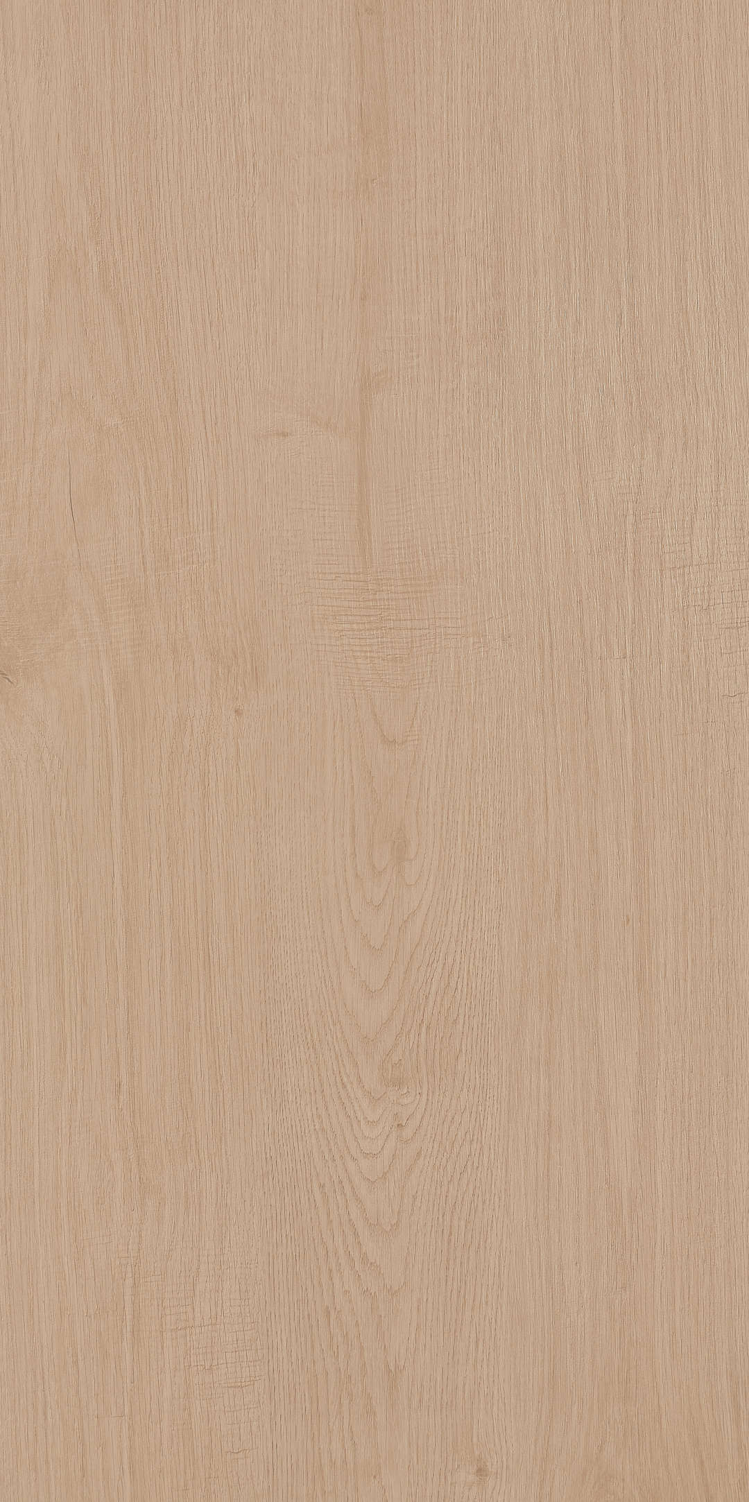 Fragrance · Matt Mould W1206330 · W1206330 single tile image 18
