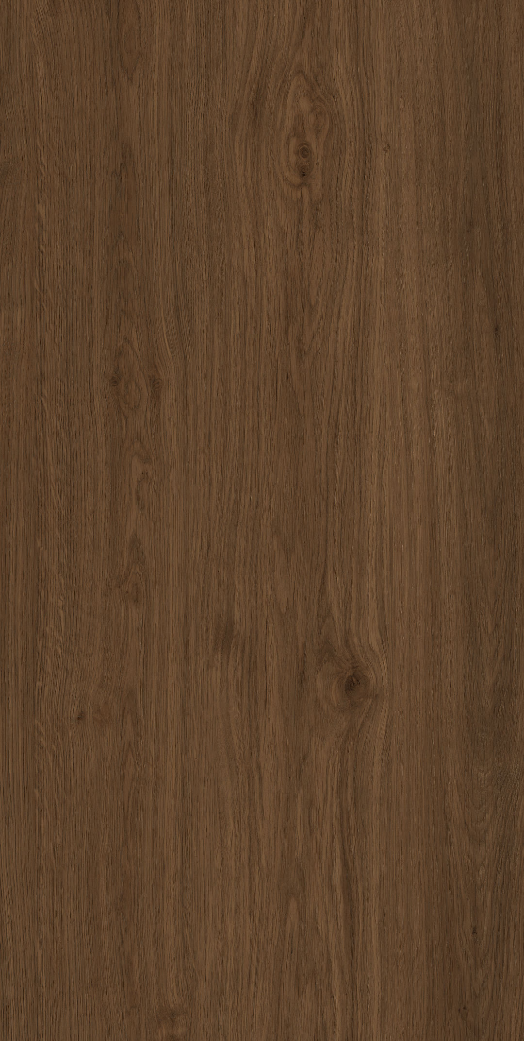 Yangmu · Digital mould W1206344 · W1206344 single tile image 6