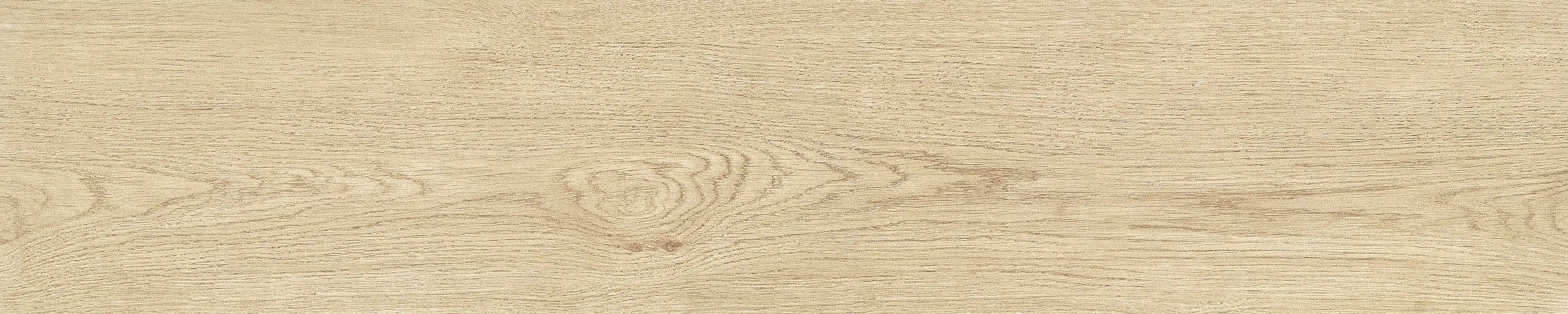 半岛 · 哑光模具 W1002033 · W1002033 单片图 14
