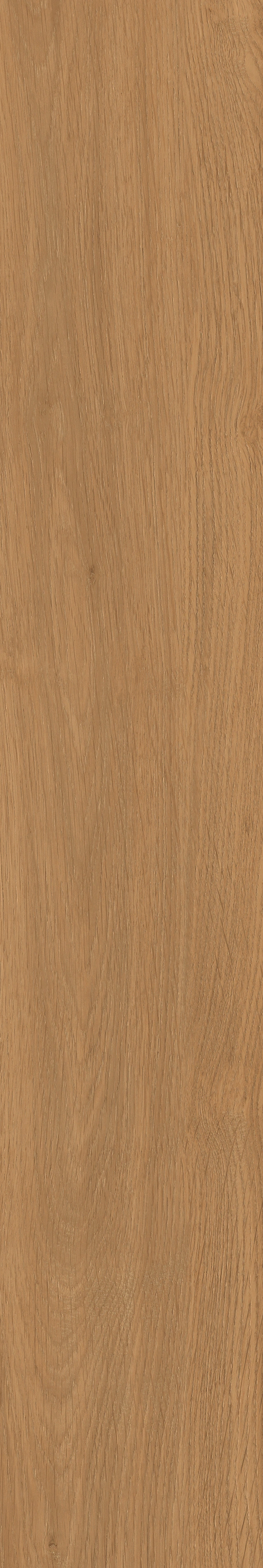 Yangmu · Digital Mould W1202342 · W1202342 Single tile image 28