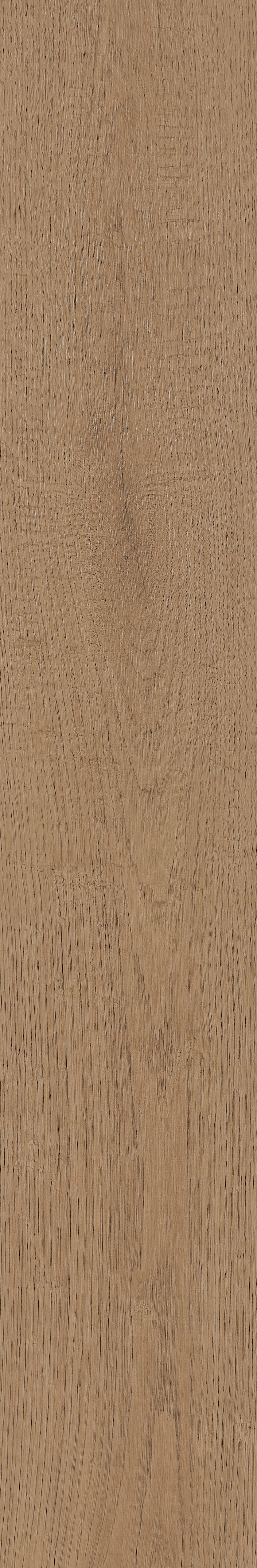 Fragrant · Matt Mould W1202331 · W1202331 Single Tile Image 41