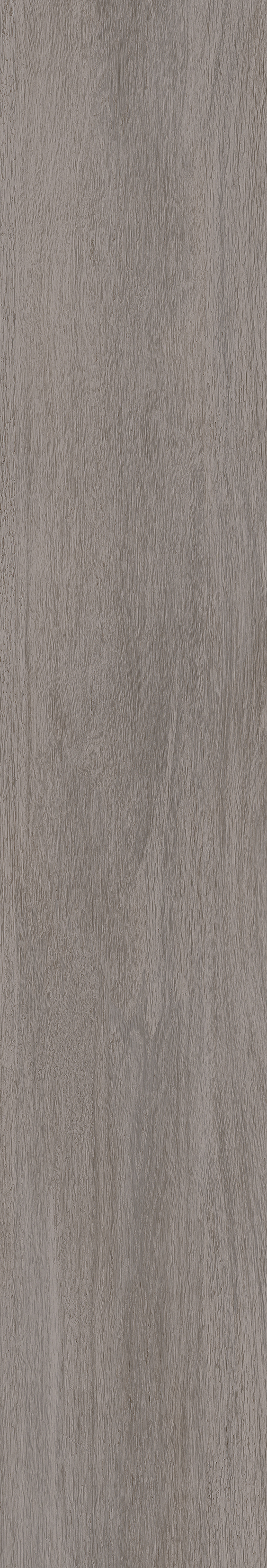 Cedar · Matt mould W15025021 · W15025021 Single tile image 2