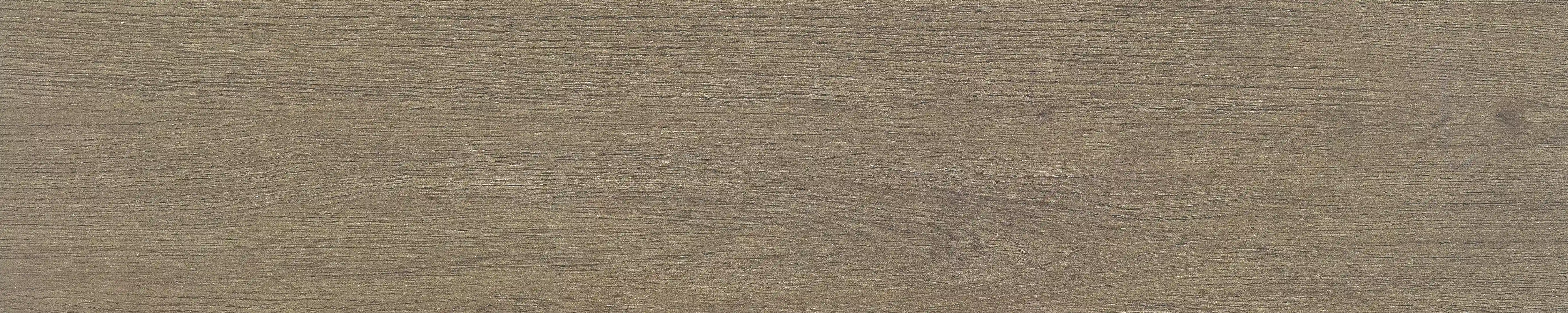 半岛 · 哑光模具 W1002034 · W1002034 单片图 20