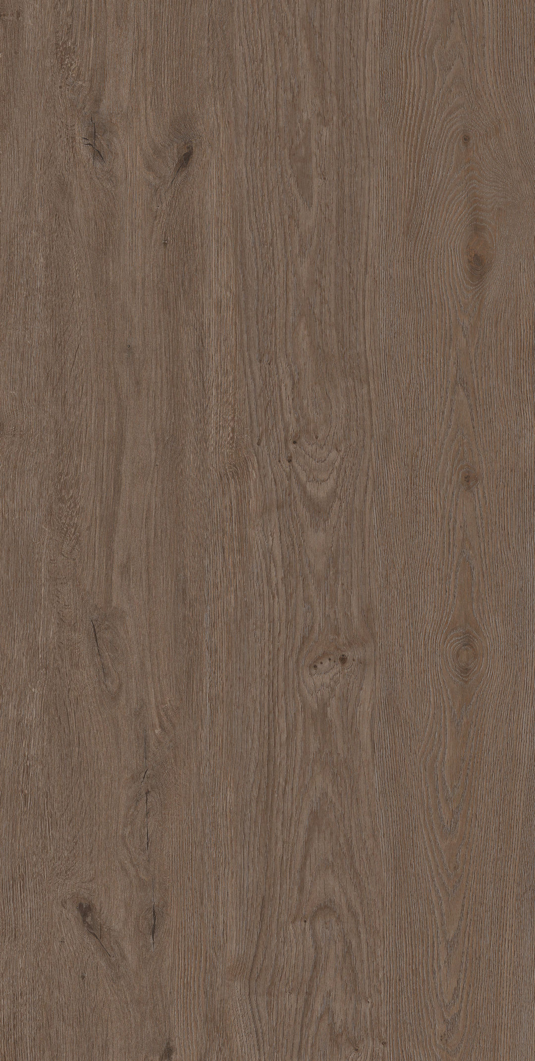 Arden Wood · Matt Mould W1507519 · W1507519 Single Tile Image 7