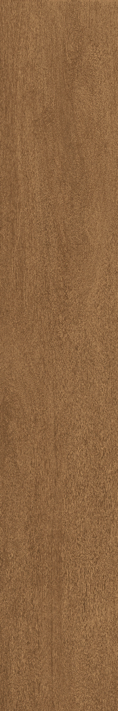 Cedar · Matt Mould W1202325 · W1202325 Single Tile Image 5