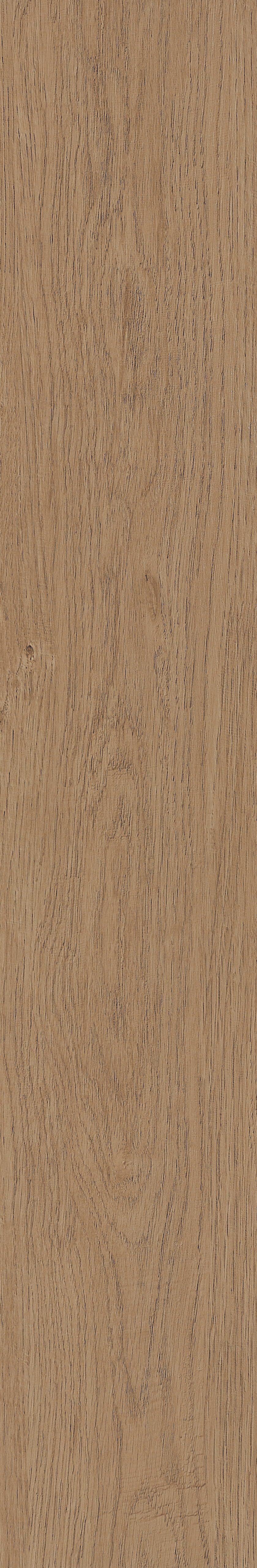 Fragrant · Matt Mould W1202331 · W1202331 Single Tile Image 34