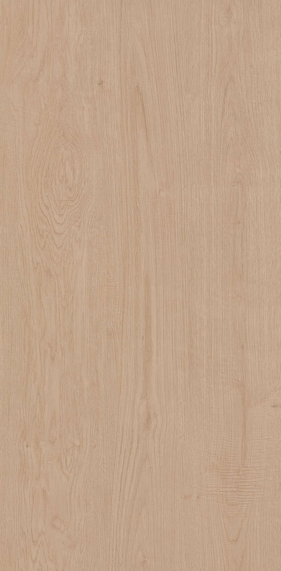 Fragrance · Matt Mould W1206330 · W1206330 single tile image 4