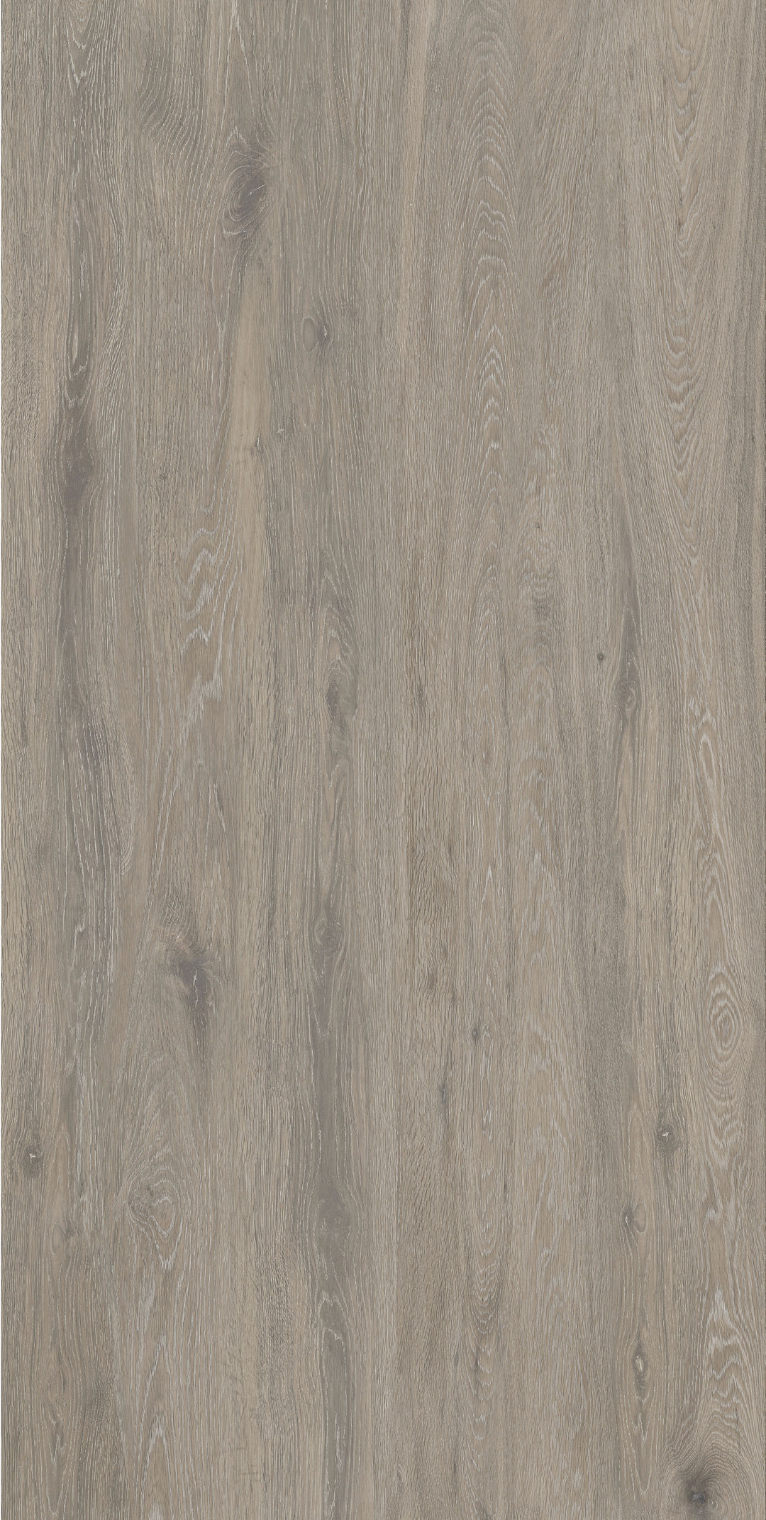 Brian · Fine-carved mould W1507508 · W1507508 Single Tile Image 3