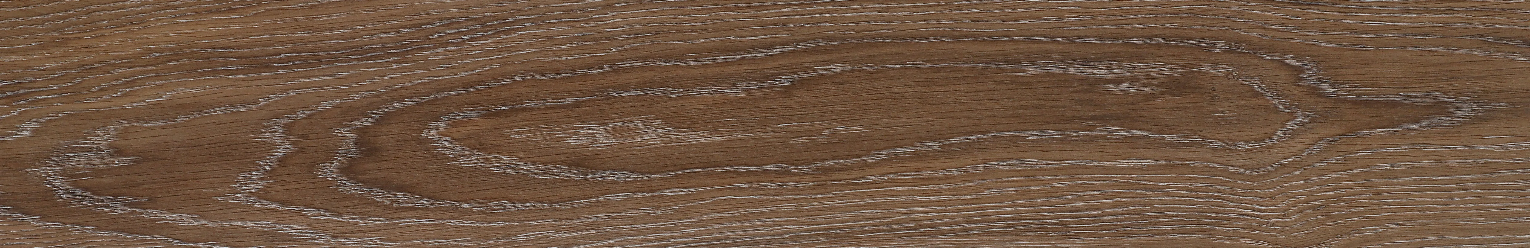 North American Ash · Matt Mould W1202309 · W1202309 Single tile image 19