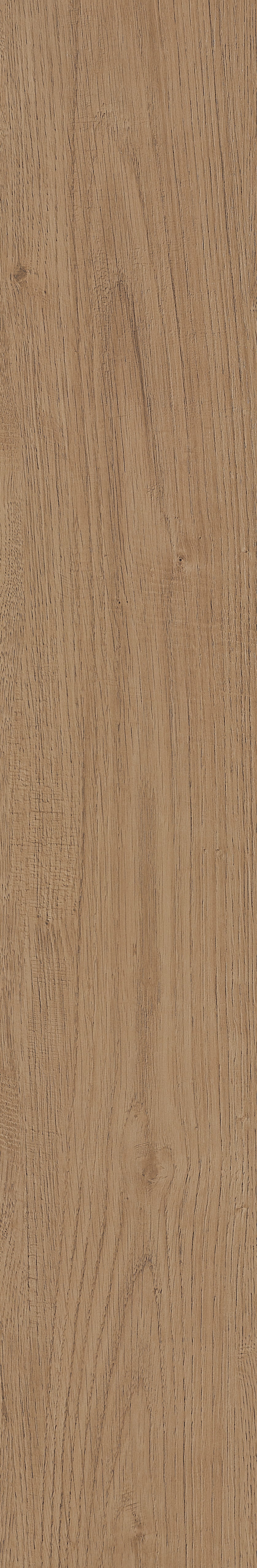 Fragrant · Matt Mould W1202331 · W1202331 Single Tile Image 25