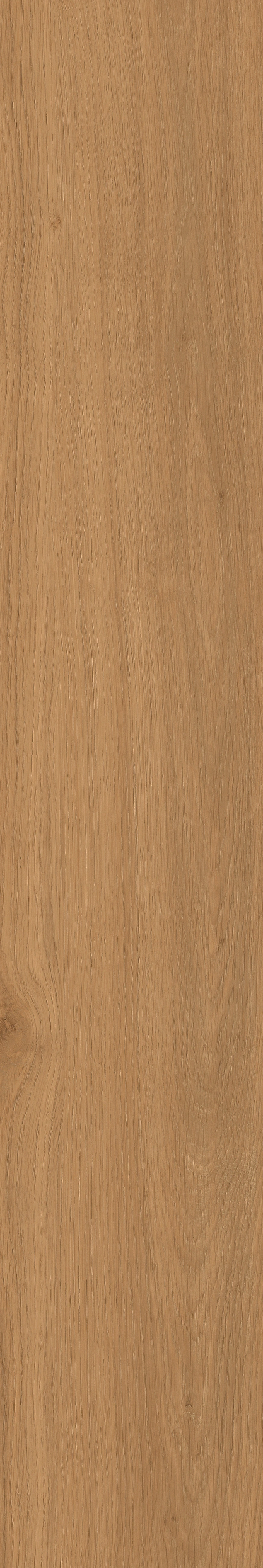 Yangmu · Digital Mould W1202342 · W1202342 Single tile image 18