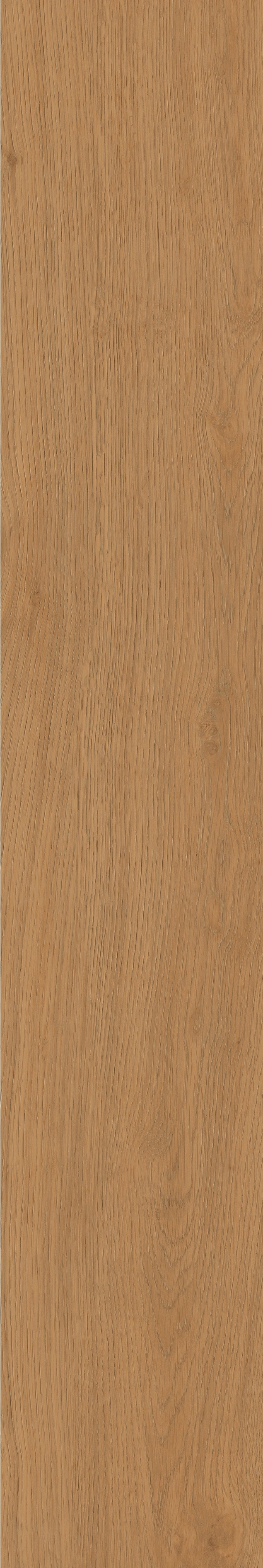 Yangmu · Digital Mould W1202342 · W1202342 Single tile image 25