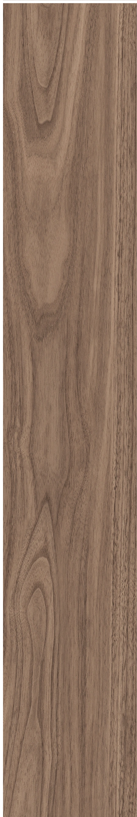 North American Walnut · Matt mould W1202075 · W1202075 single tile image 19
