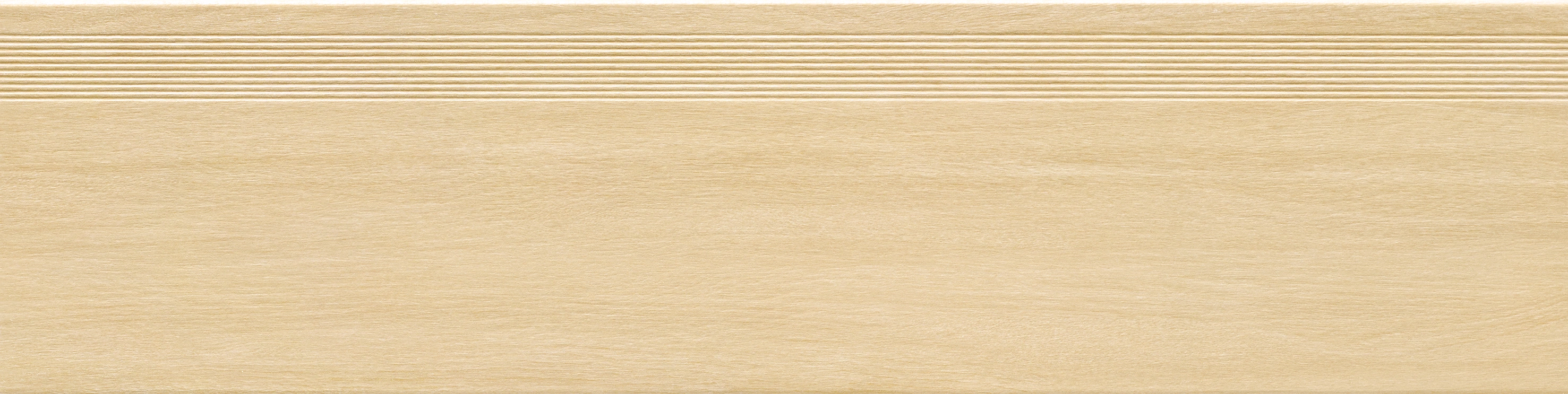 Stair treads · Matt mould W3012011 · W3012011 Single tile image 2