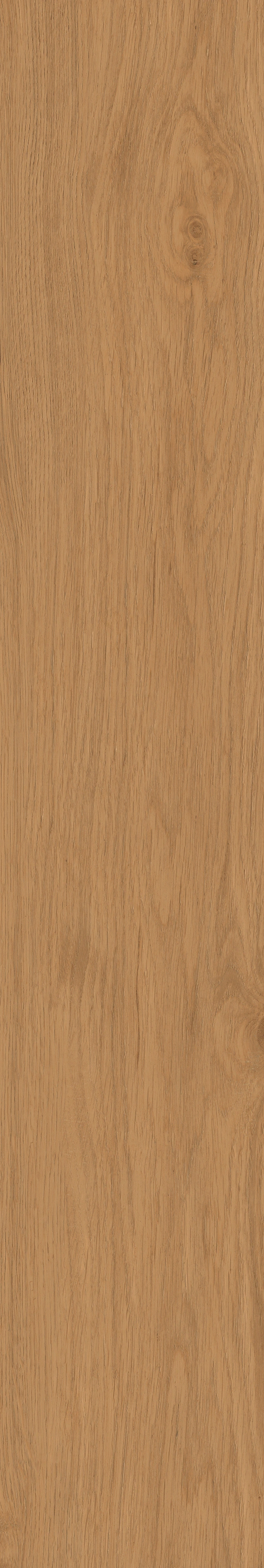 Yangmu · Digital Mould W1202342 · W1202342 Single tile image 17
