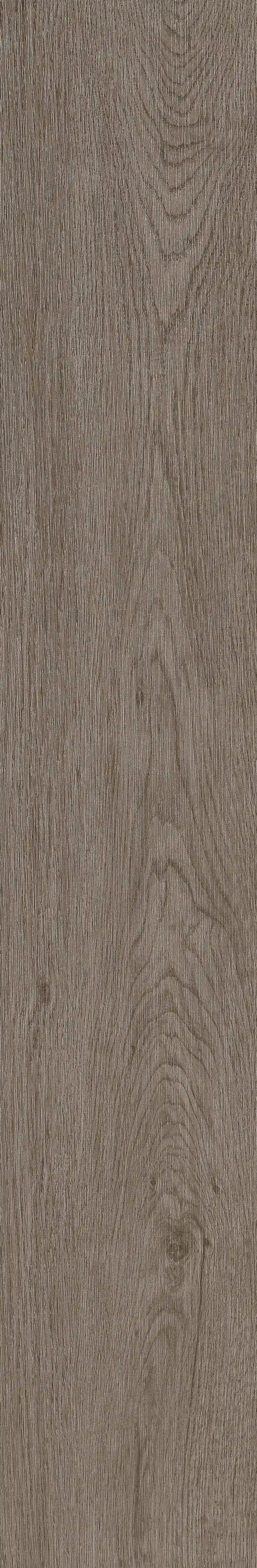 半岛MAX · 数码模具 W1202305 · W1202305 单片图 21