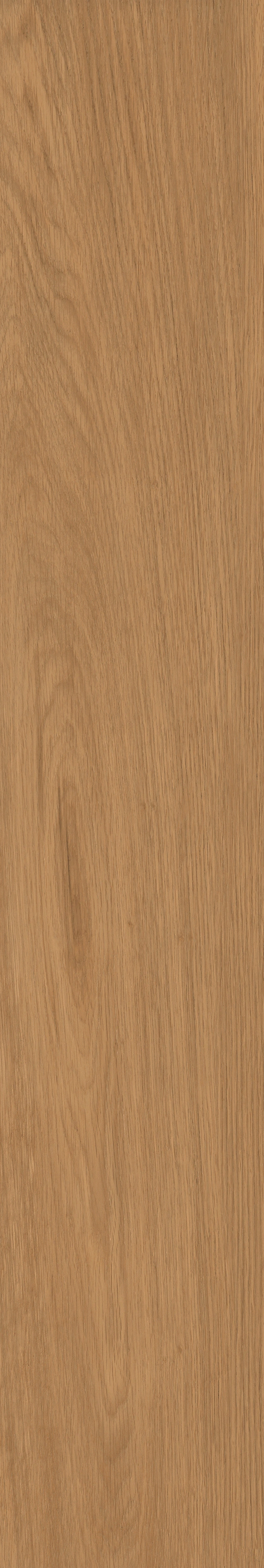 Yangmu · Digital Mould W1202342 · W1202342 Single tile image 11