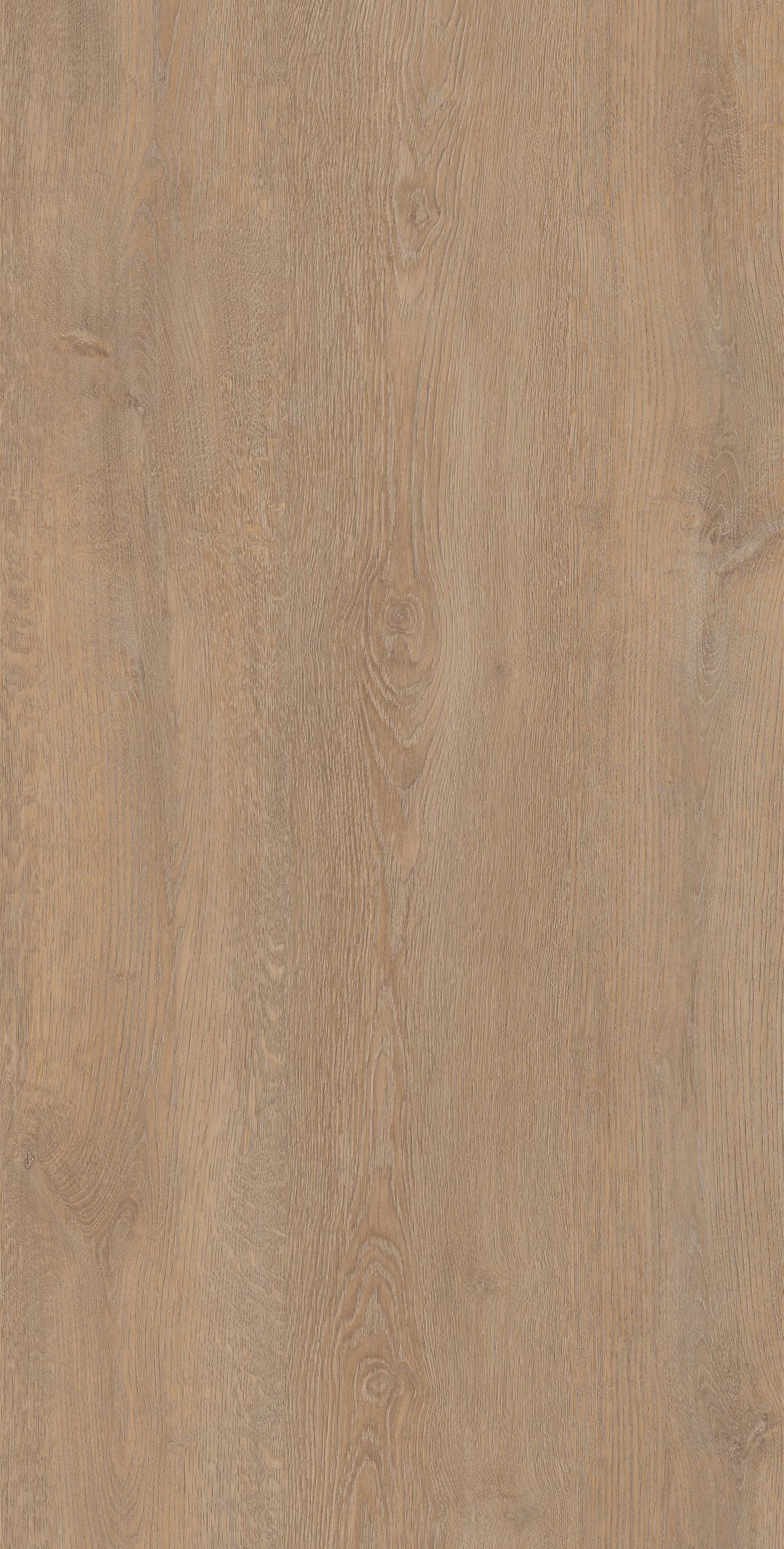 Yimu · Matt Mould W1206530 · W1206530 single tile image 4