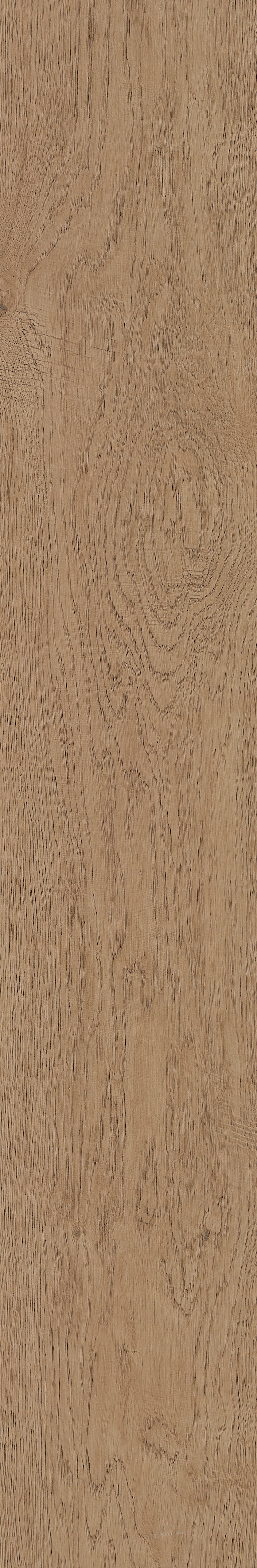 Fragrant · Matt Mould W1202331 · W1202331 Single Tile Image 24