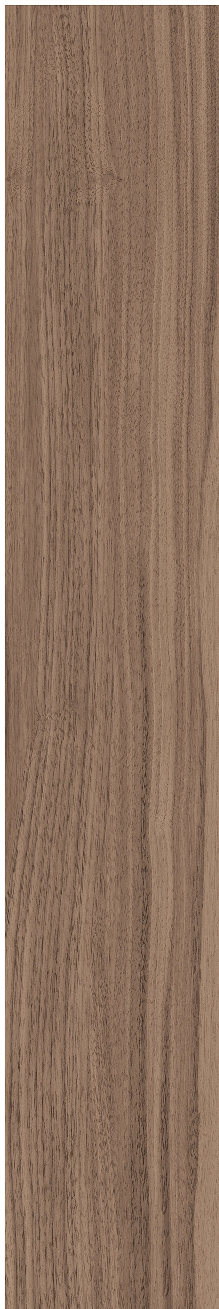 North American Walnut · Matt mould W1202075 · W1202075 Single tile image 25