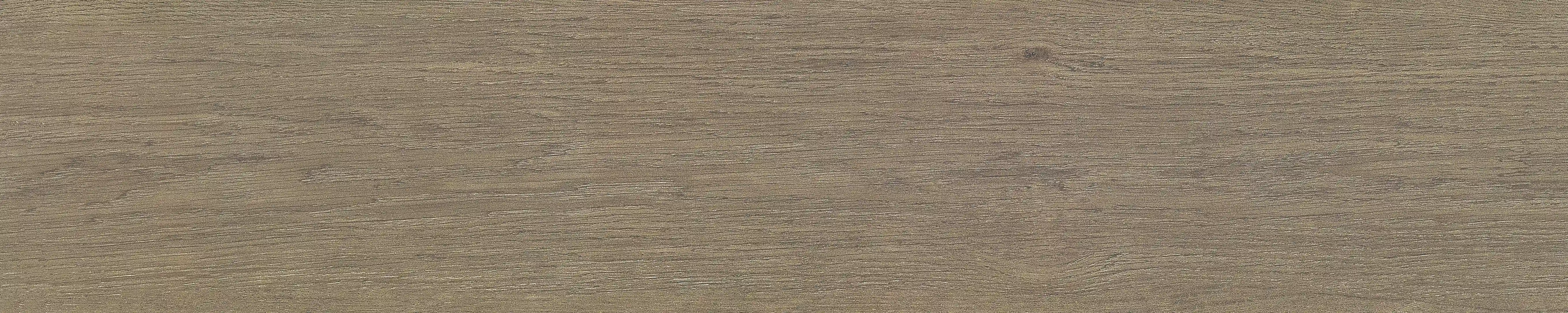 半岛 · 哑光模具 W1002034 · W1002034 单片图 7