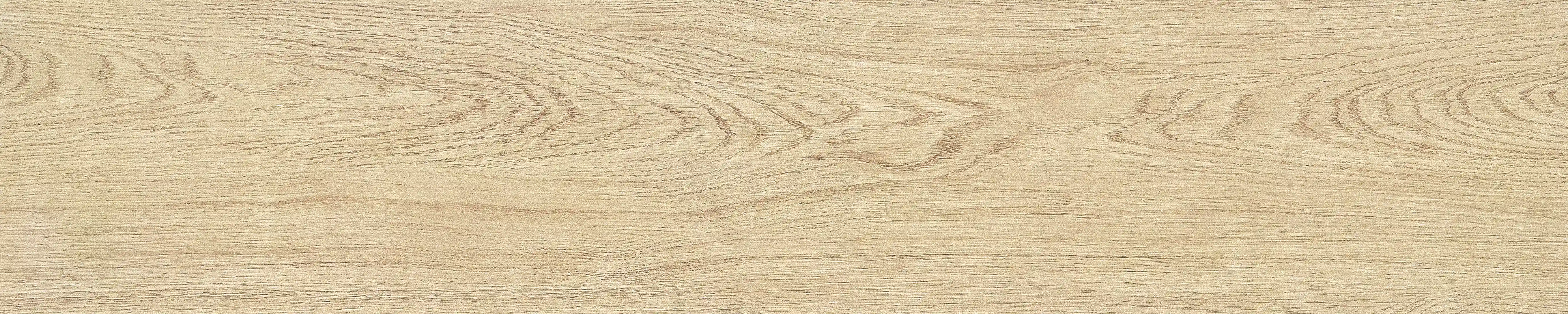半岛 · 哑光模具 W1002033