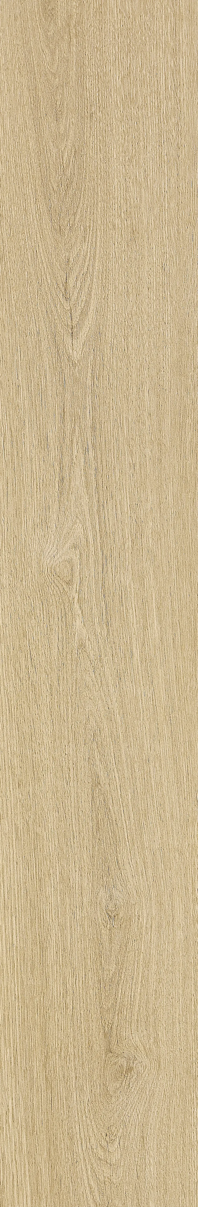 Qianmu · Digital Mould W1202368 · W1202368 Single Tile Image 5