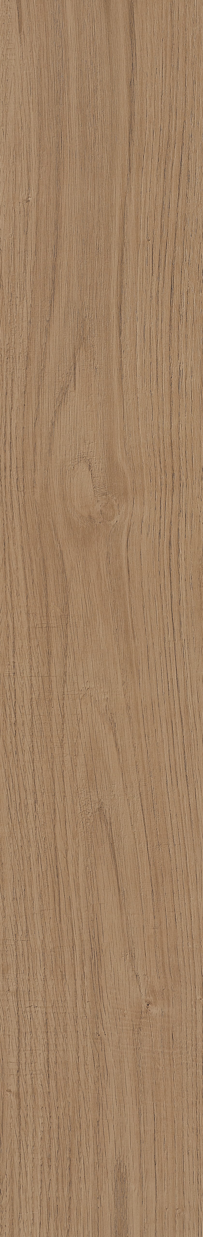 Fragrant · Matt Mould W1202331 · W1202331 Single Tile Image 43