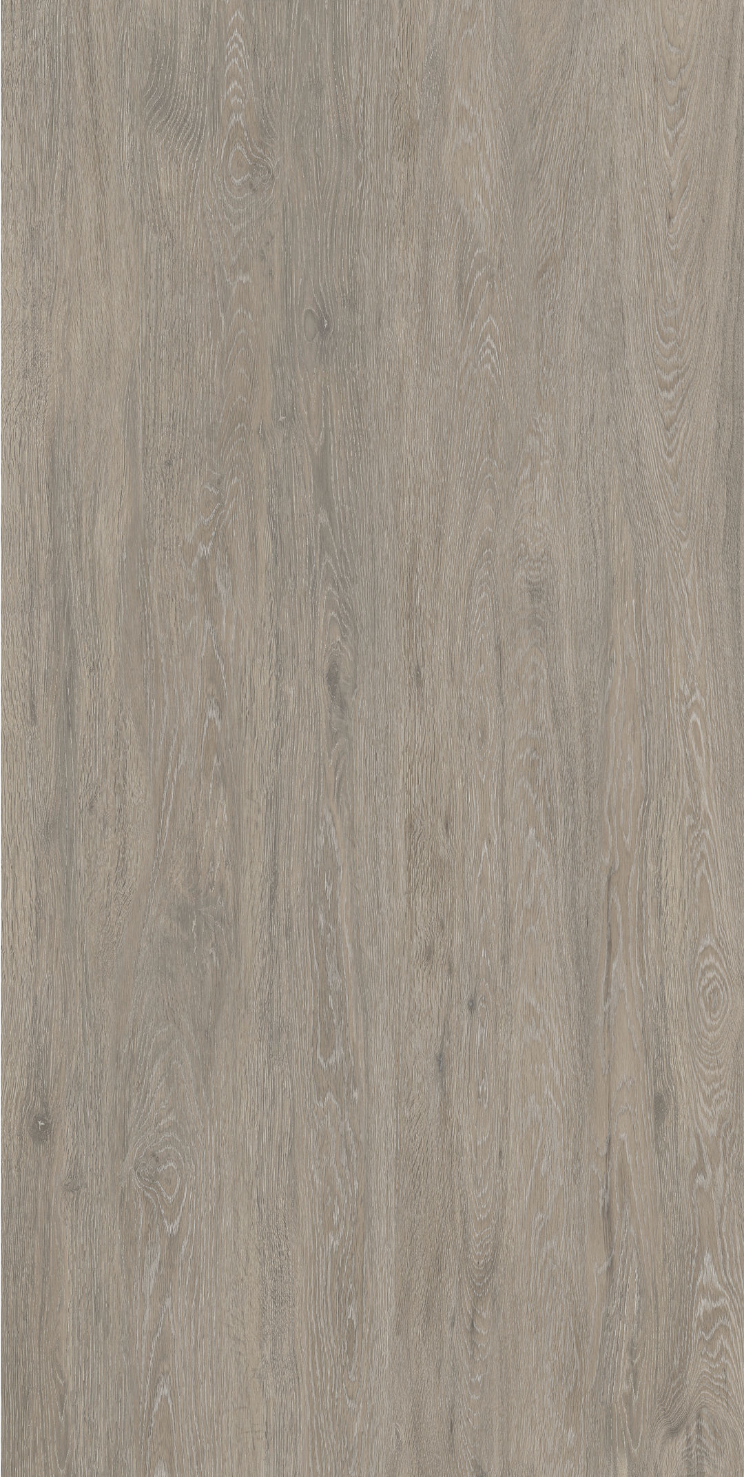 Brian · Fine-carved mould W1507508 · W1507508 Single Tile Image 4