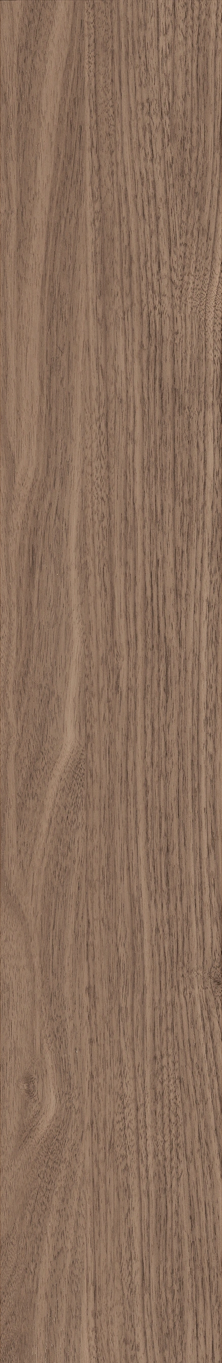 North American Walnut · Matt mould W1202075 · W1202075 single tile image 9