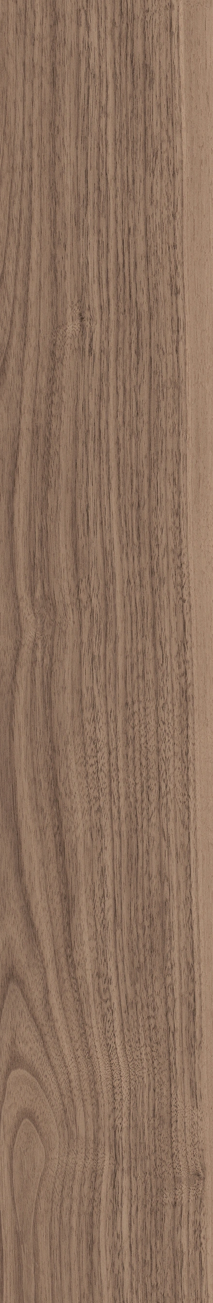 North American Walnut · Matt mould W1202075 · W1202075 single tile image 4