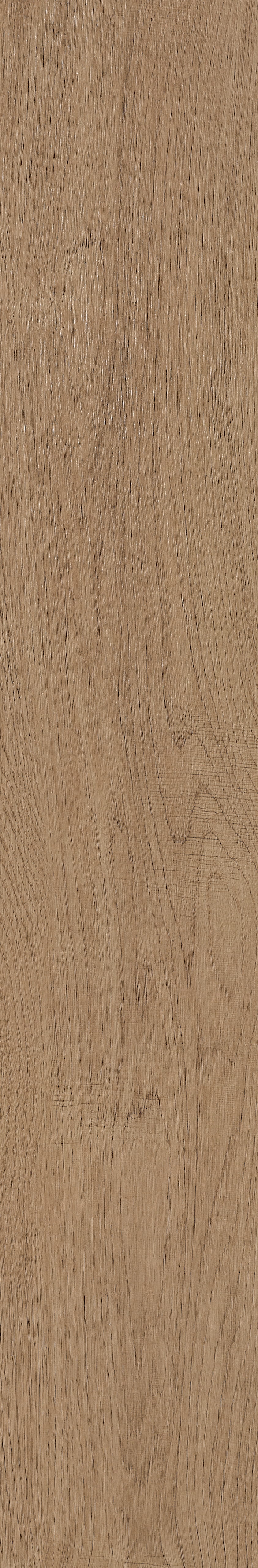 Fragrant · Matt Mould W1202331 · W1202331 Single Tile Image 17