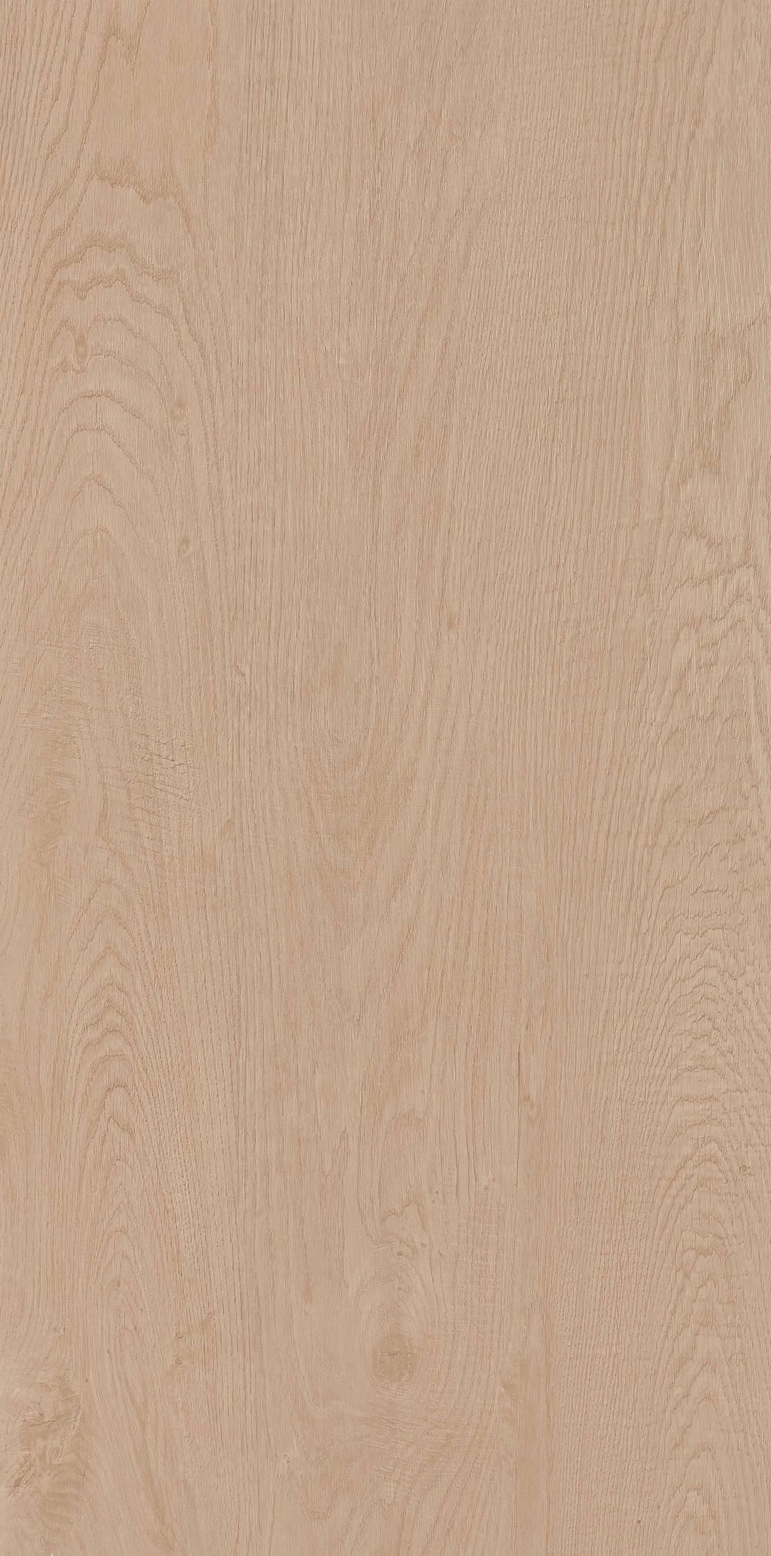 Fragrance · Matt Mould W1206330 · W1206330 single tile image 6