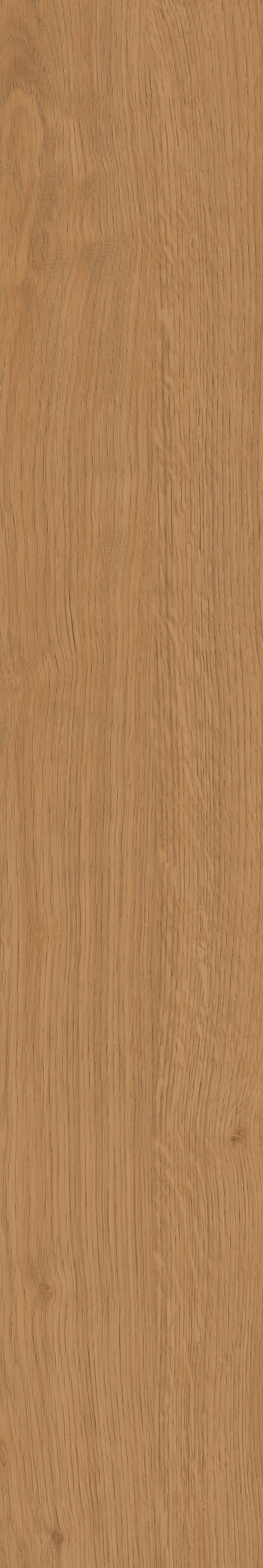 Yangmu · Digital Mould W1202342 · W1202342 Single tile image 32