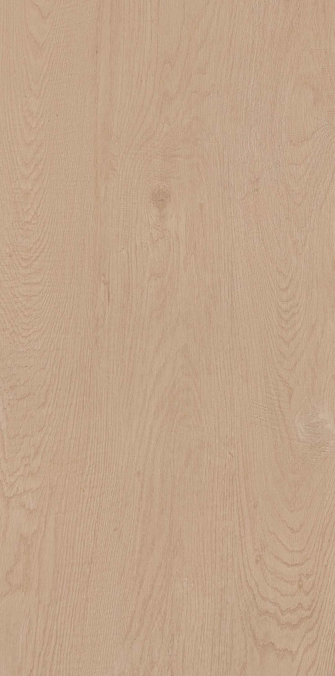 Fragrance · Matt Mould W1206330 · W1206330 single tile image 9