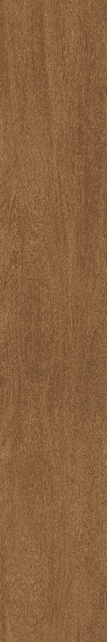 Cedar · Matt Mould W1202325 · W1202325 Single Tile Image 7