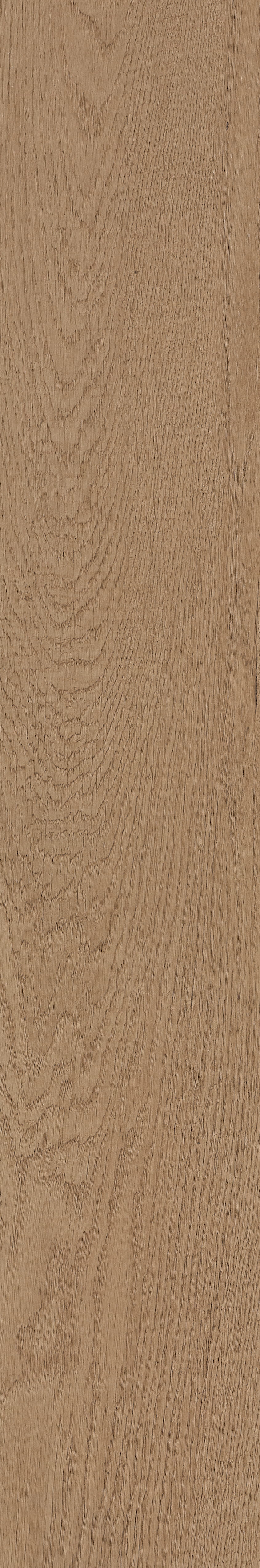 Fragrant · Matt Mould W1202331 · W1202331 Single Tile Image 21