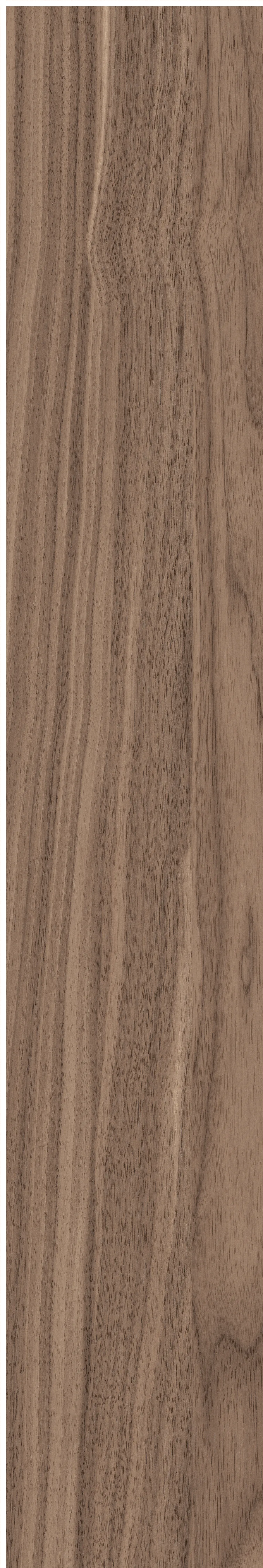 North American Walnut · Matt mould W1202075 · W1202075 single tile image 15