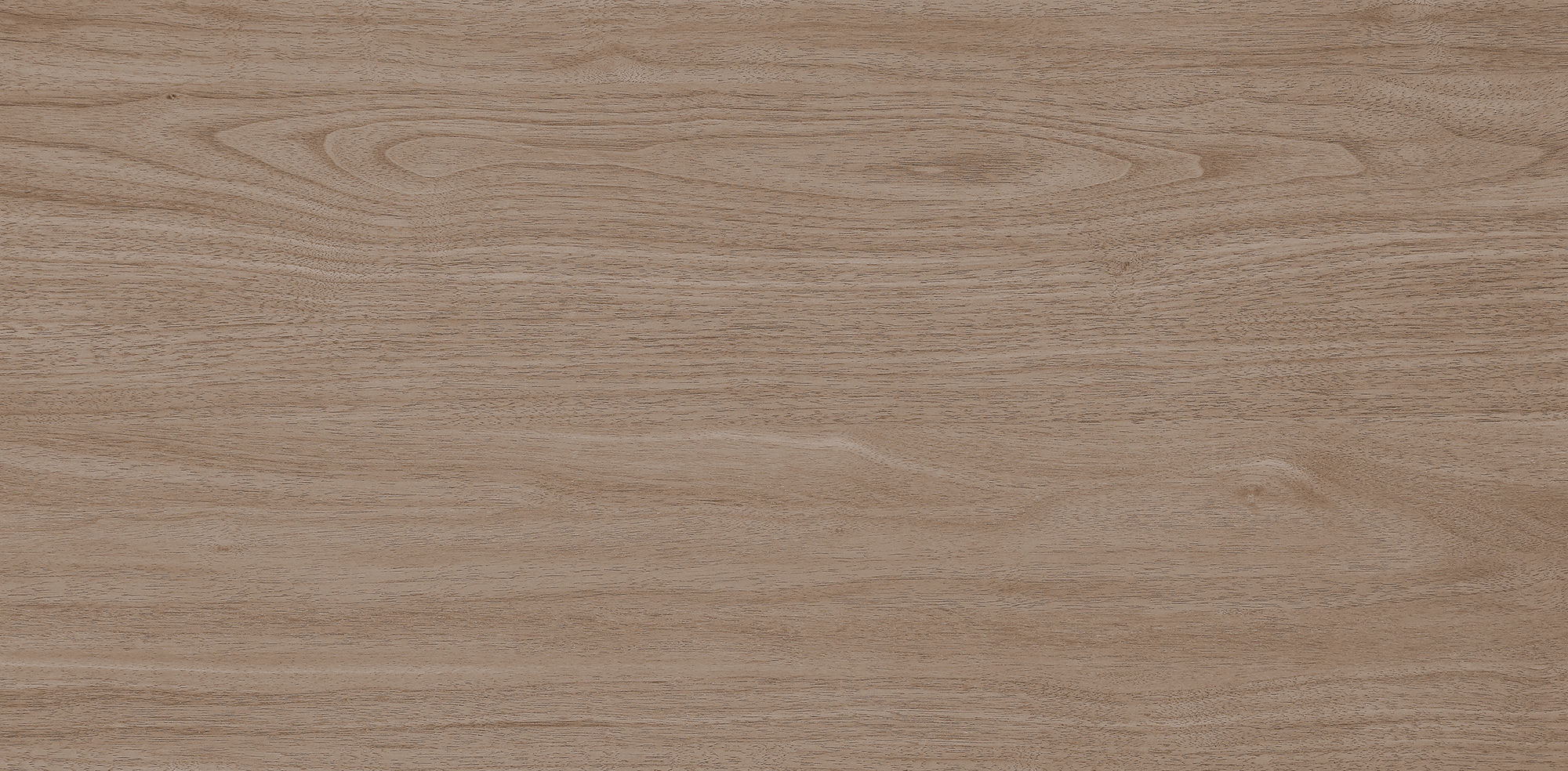 West Coast Walnut · Velvet R1206501 · R1206501 Single tile image 6