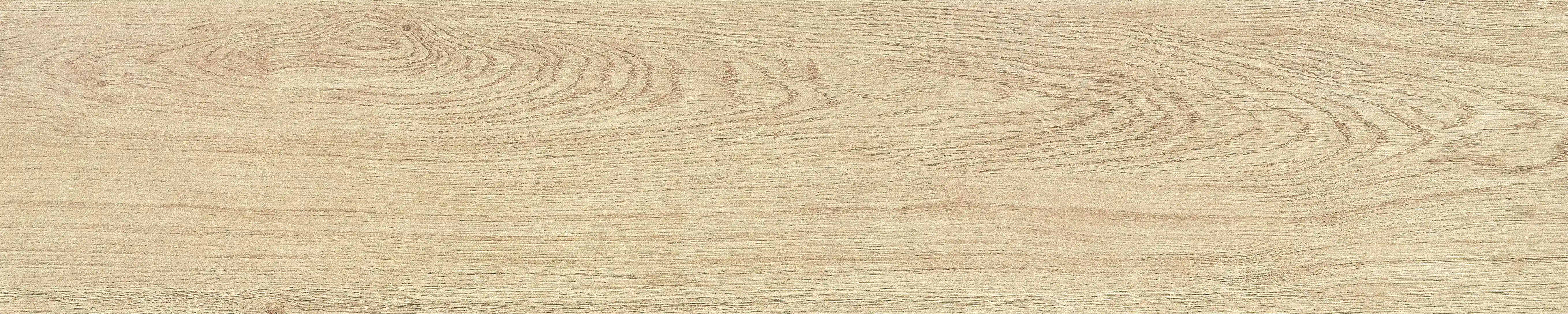 半岛 · 哑光模具 W1002033 · W1002033 单片图 29