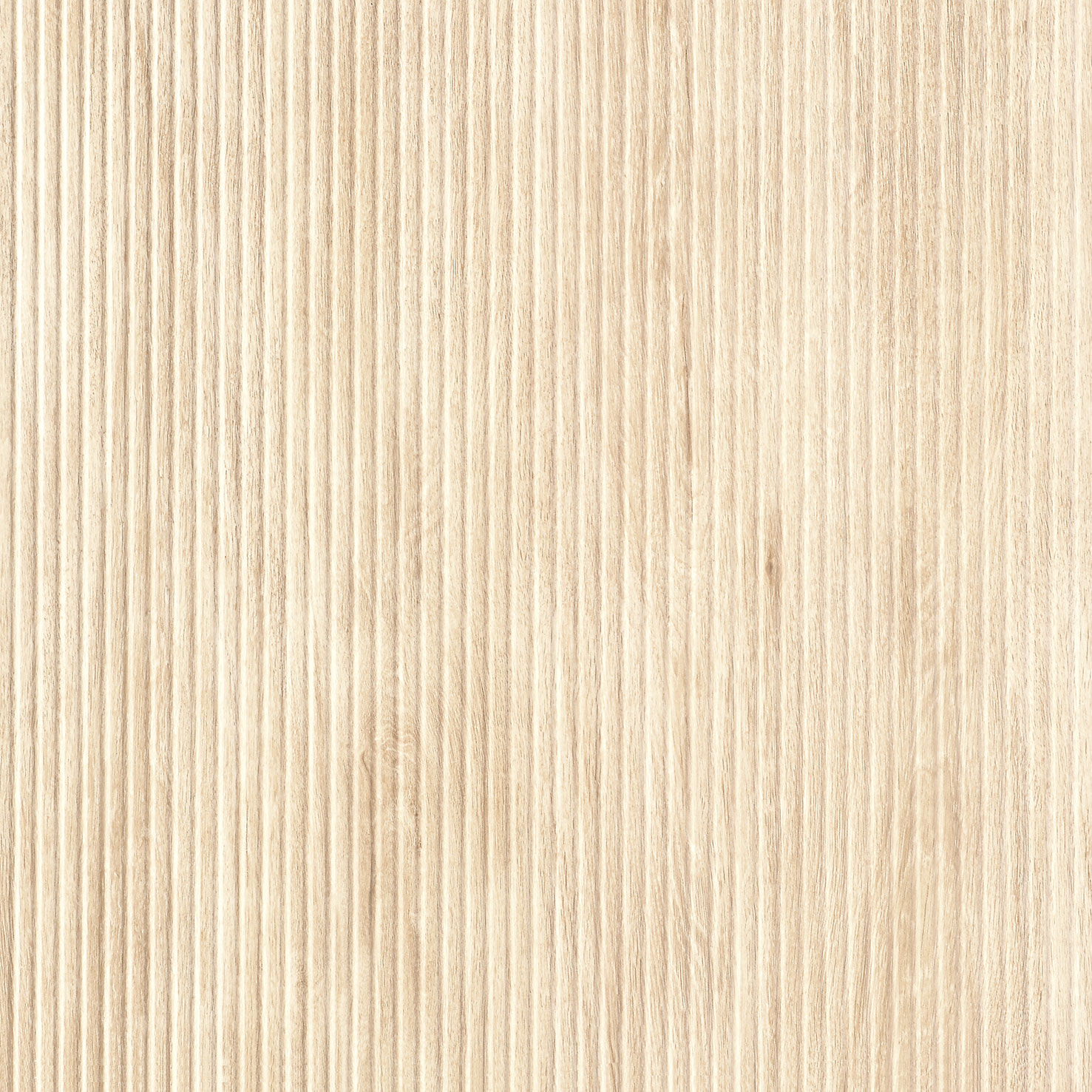 布拉格 · 哑光模具 W606005 · W606005 单片图 2