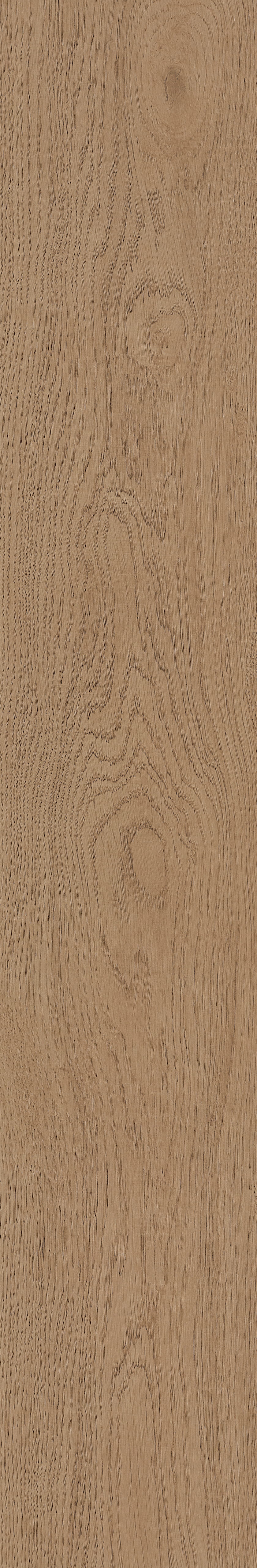 Fragrant · Matt Mould W1202331 · W1202331 Single Tile Image 45