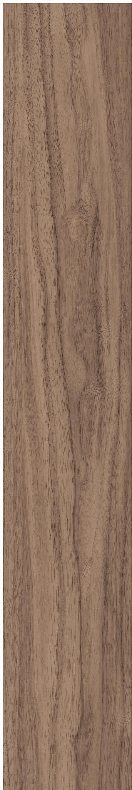 North American Walnut · Matt mould W1202075 · W1202075 Single tile image 24