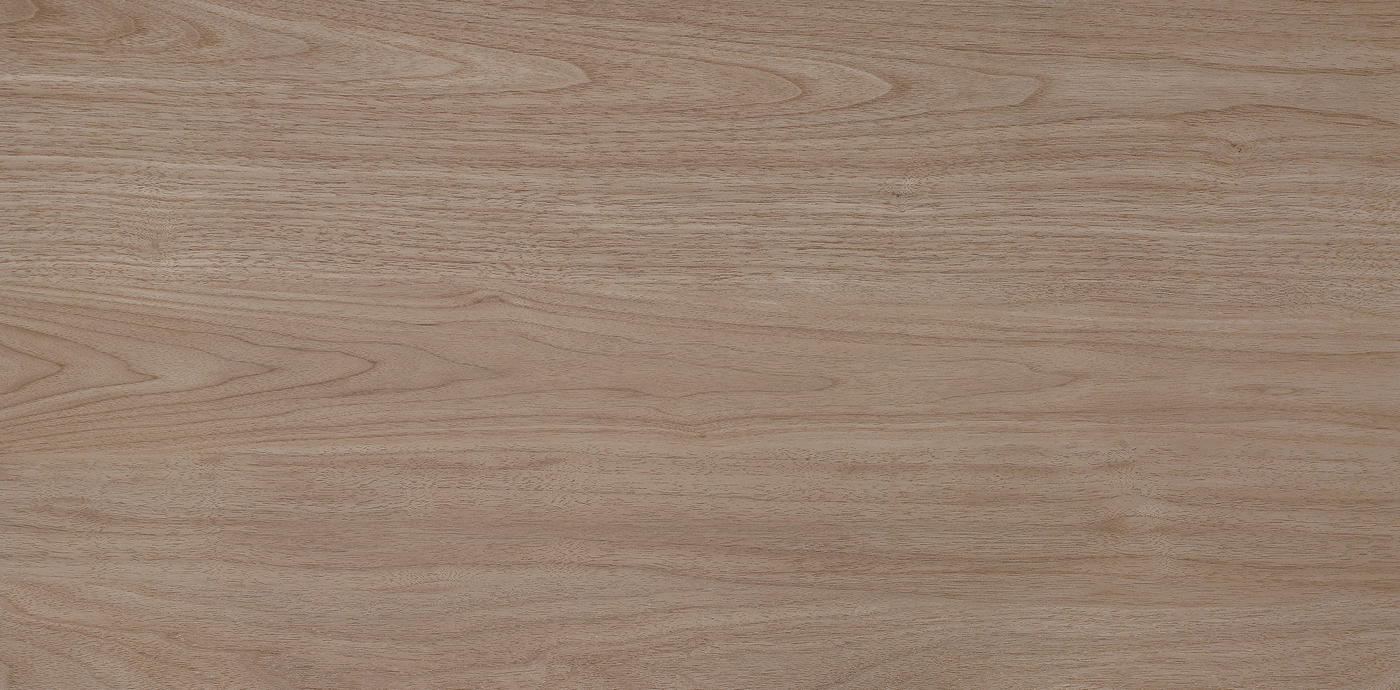 West Coast Walnut · Velvet R1206501 · R1206501 Single tile image 7
