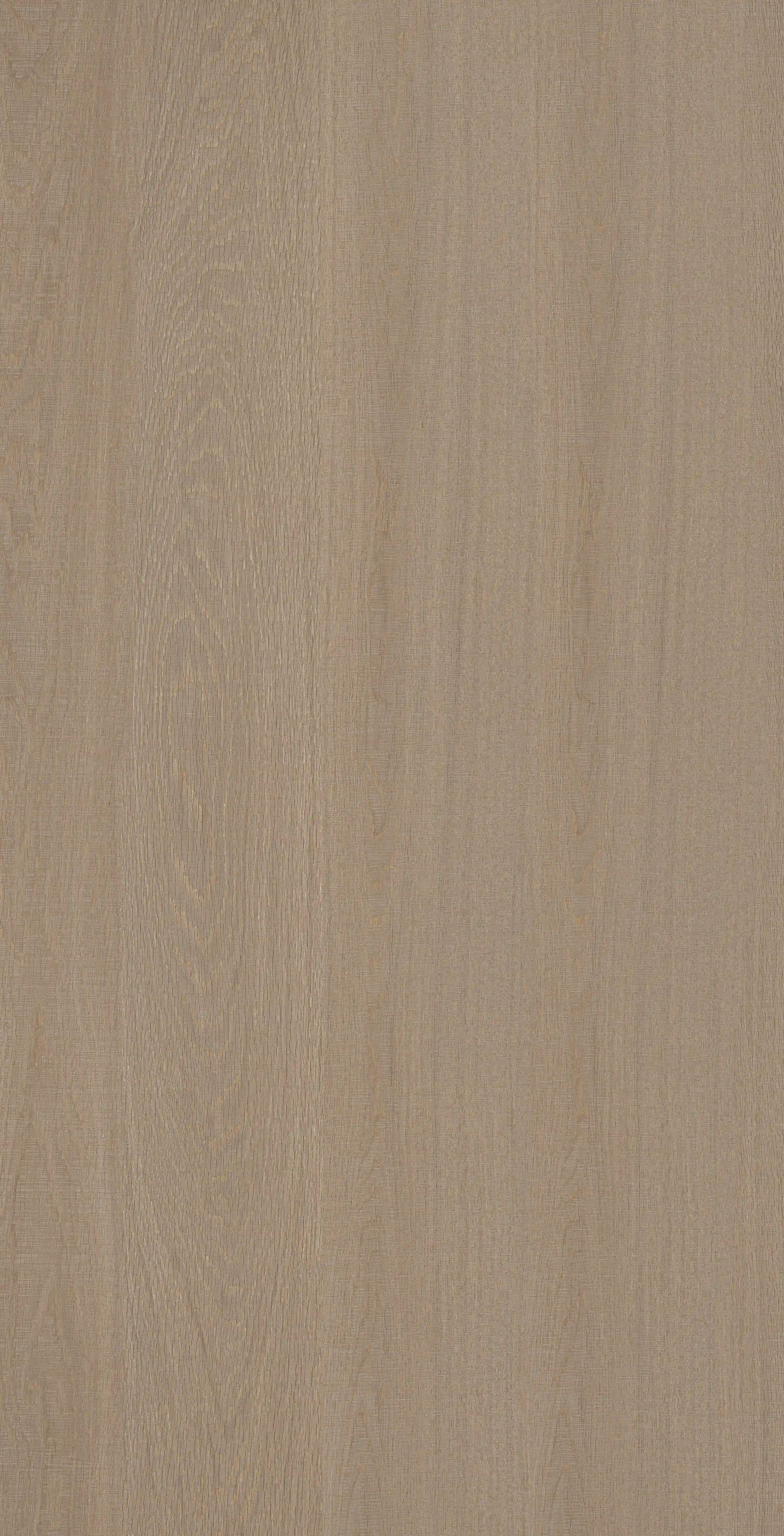 Oak Trace · Porcelain W1507511 · W1507511 single tile image 7