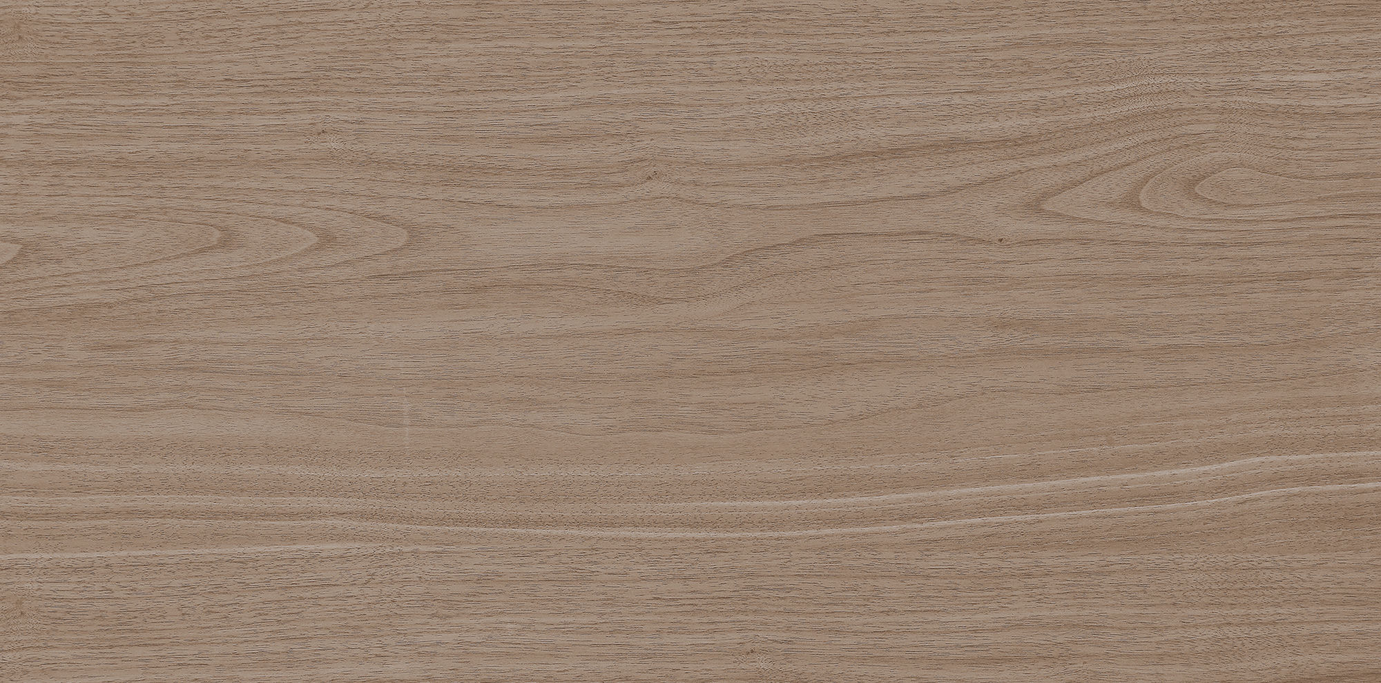 West Coast Walnut · Velvet R1206501 · R1206501 Single tile image 3
