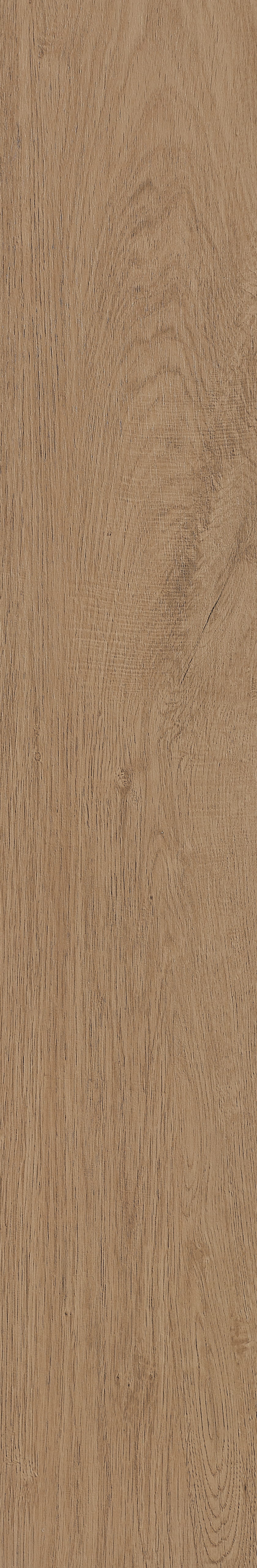 Fragrant · Matt Mould W1202331 · W1202331 Single Tile Image 29