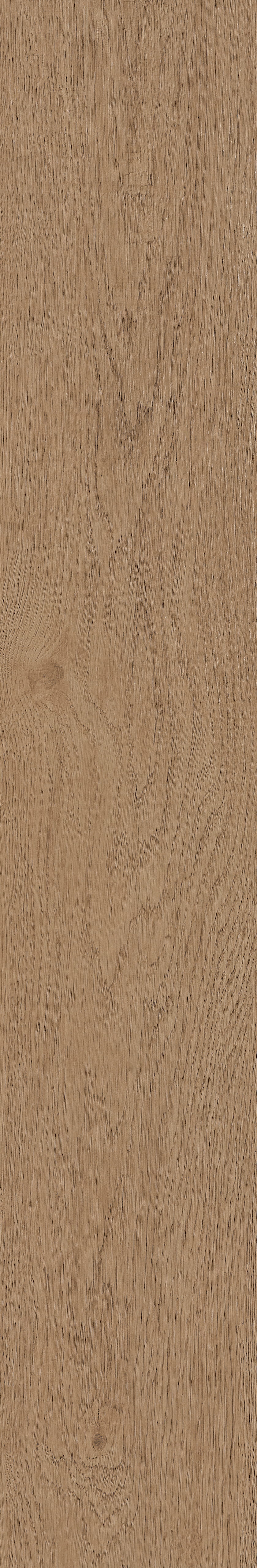 Fragrant · Matt Mould W1202331 · W1202331 single tile image 46