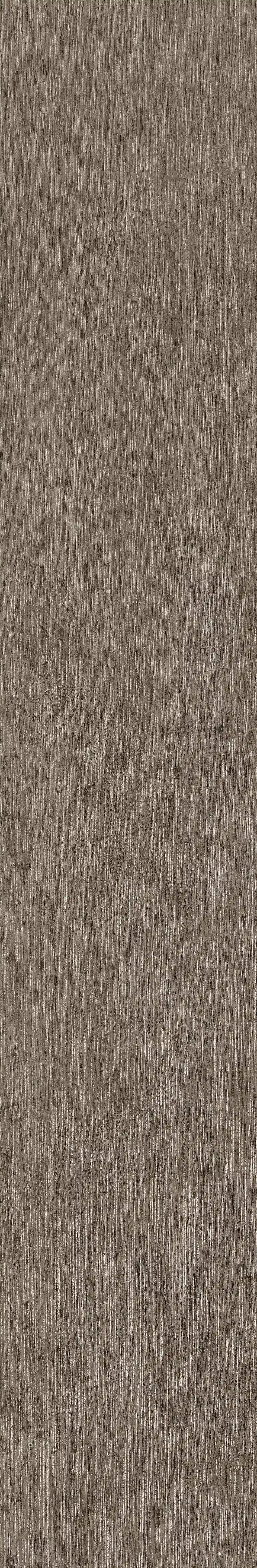 半岛MAX · 数码模具 W1202305 · W1202305 单片图 18